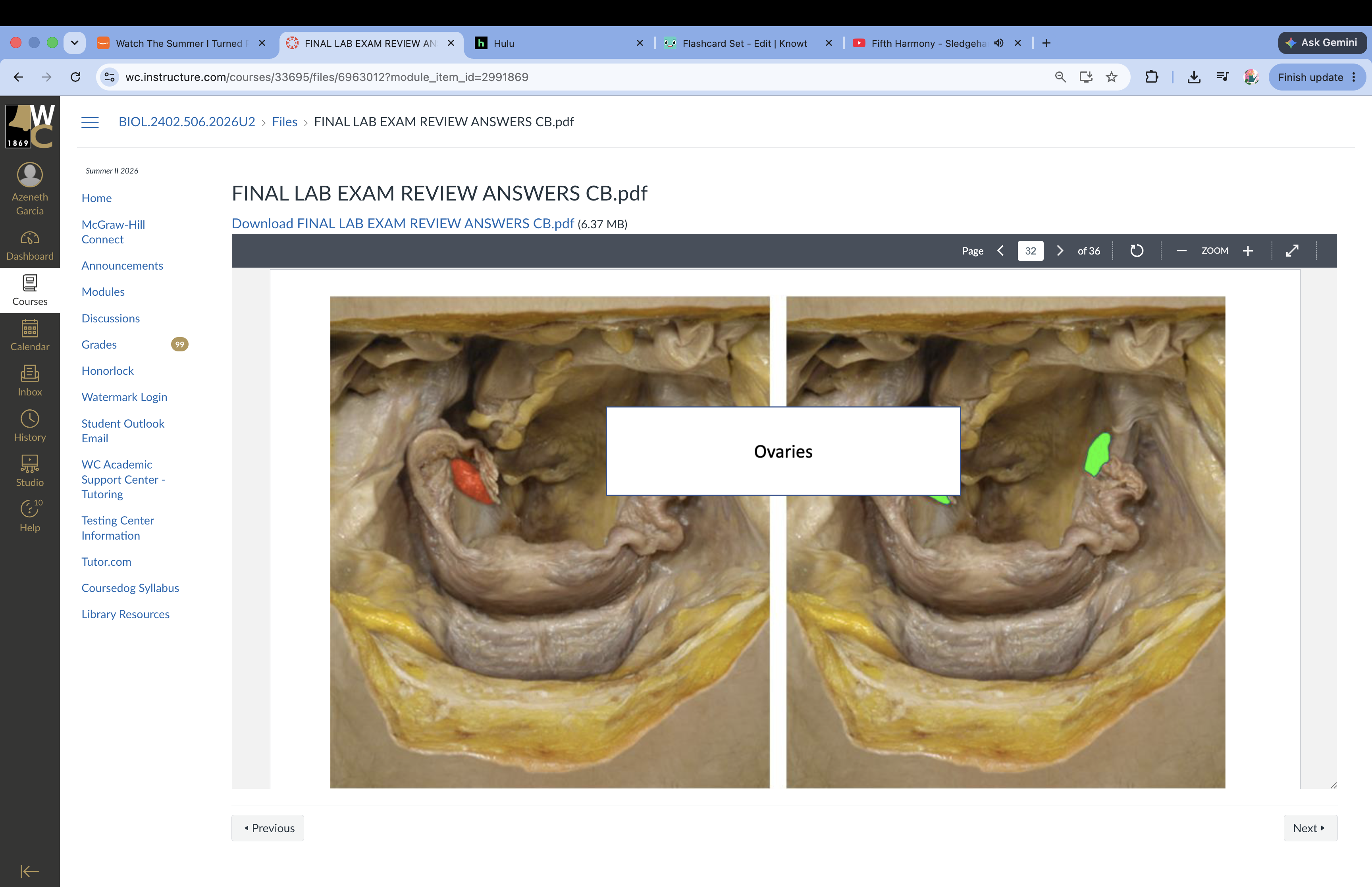 knowt flashcard image
