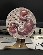 <p>What blood cell model is this?</p>