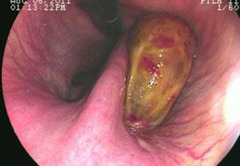<p>What is this?</p>