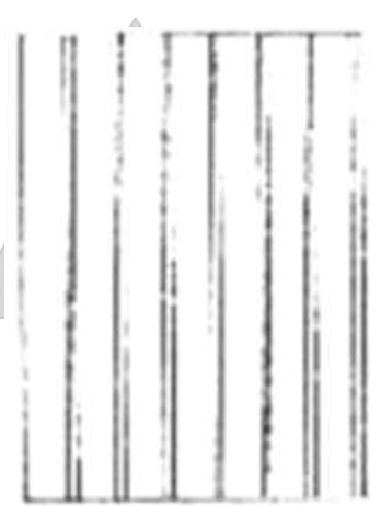 <p>Visible equal sized board and batte</p>