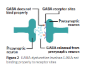 <p><span style="line-height: 115%;">Levels may be affected by: Genetic inheritance, Central nervous system damage, exposure to prolonged stress, Nutritional deficiencies in vitamin B6 and citric acid, high caffeine intake. Either inhibit GABA release, inhibit its ability to bind to GABA receptors on post-synaptic neurons, or to stimulate overproduction of glutamate in some way.</span></p>