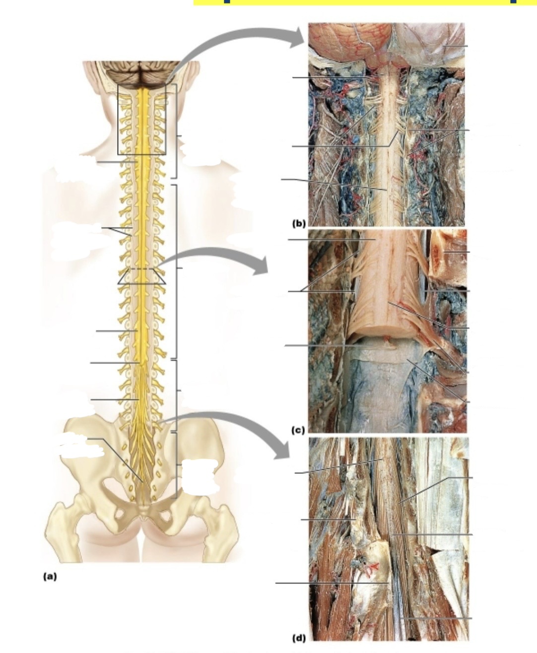 <p><a target="_blank" rel="noopener noreferrer nofollow" class="link" href="https://assets.knowt.com/user-attachments/bc997272-80b7-41d4-96e2-71e90257d1b7.jpg" data-prevent-progress="true">https://assets.knowt.com/user-attachments/bc997272-80b7-41d4-96e2-71e90257d1b7.jpg</a></p>