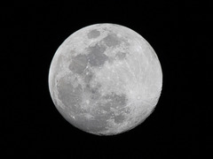 <p>der Mond, -e</p>