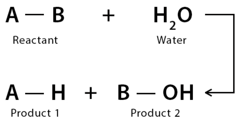 <p>Identify the mechanism</p>