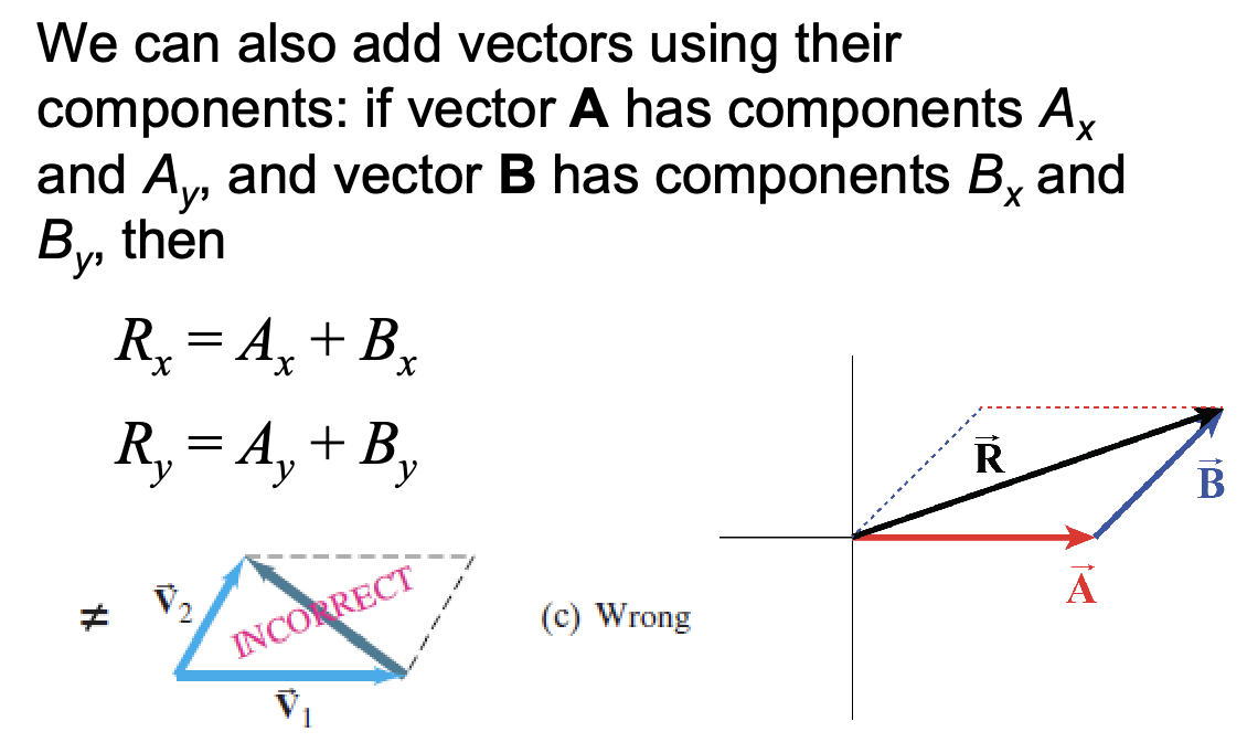 <p>The process of combining two or more vectors to produce a resultant vector, taking into account both their magnitudes and directions. This can be done graphically or mathematically</p>