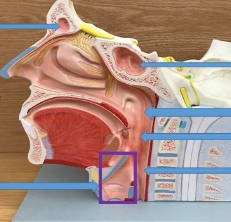 <p>name the parts</p>