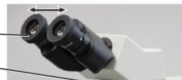 <p>What lens is this? </p>