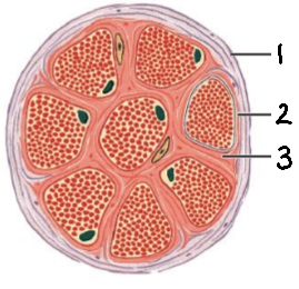 <p>What is structure #2?</p>