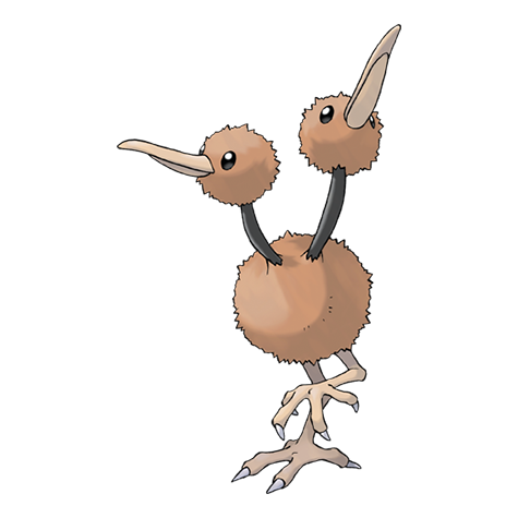 <p>What type is Doduo?</p>