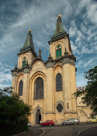 term image