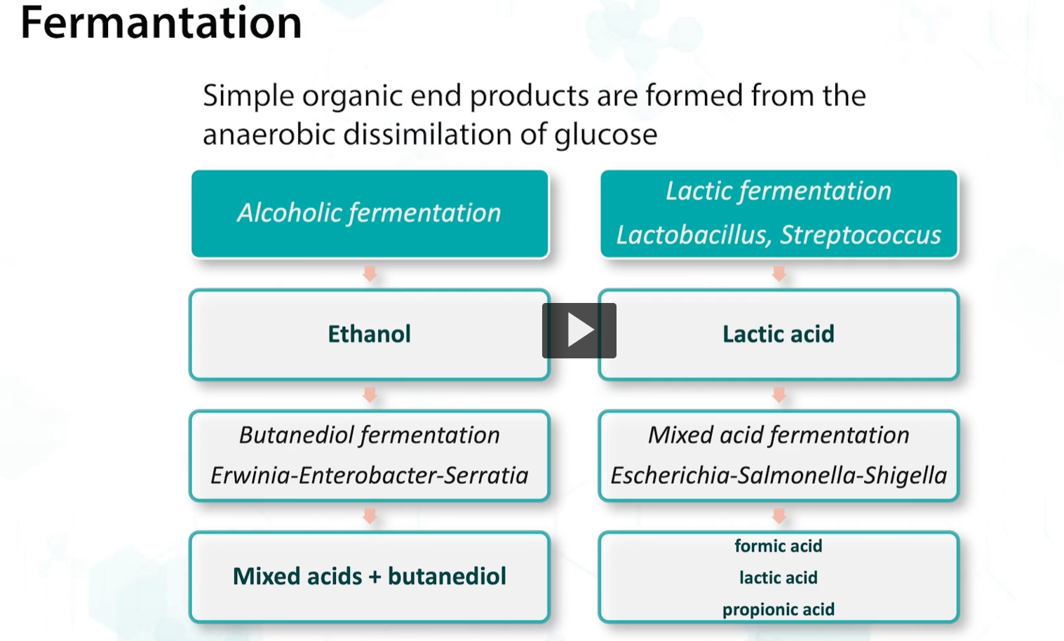 <p>fermentation produces 2 ATPs per molecule of glucose + 2 molecules of lactate, although the efficiency is low compared to to respiration that yields 38 ATPs, it is valuable as it allows catabolization of sugars to continue in the absence of oxygen.</p><p>during fermentation, simple organic and other products are formed, including alcohols and acids which are useful in food. </p>