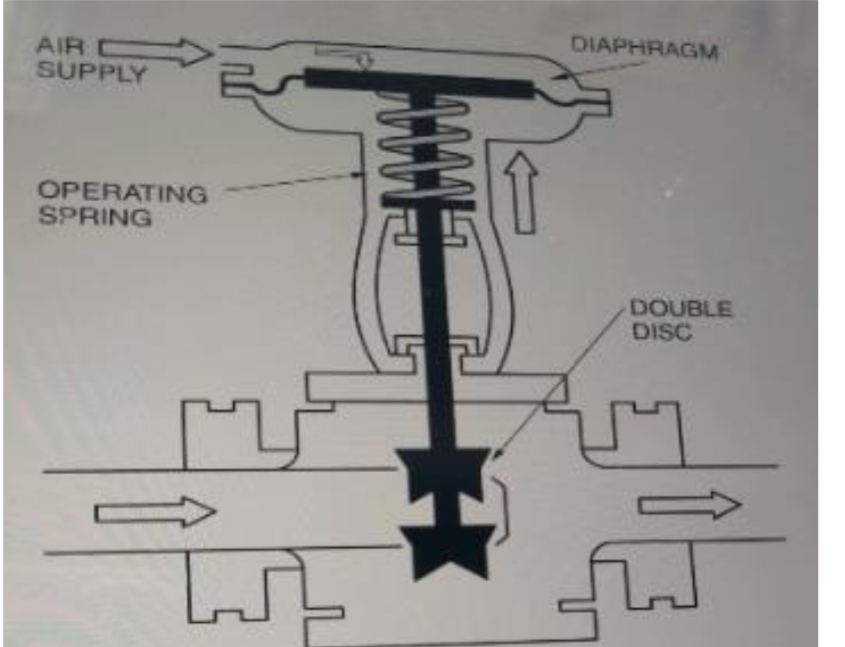 <p>Using the image, the valve shown is NOT:</p>