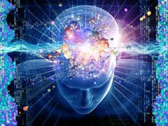 <p>creation of new neurons in the adult brain</p>