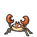 <p>Krabby</p>