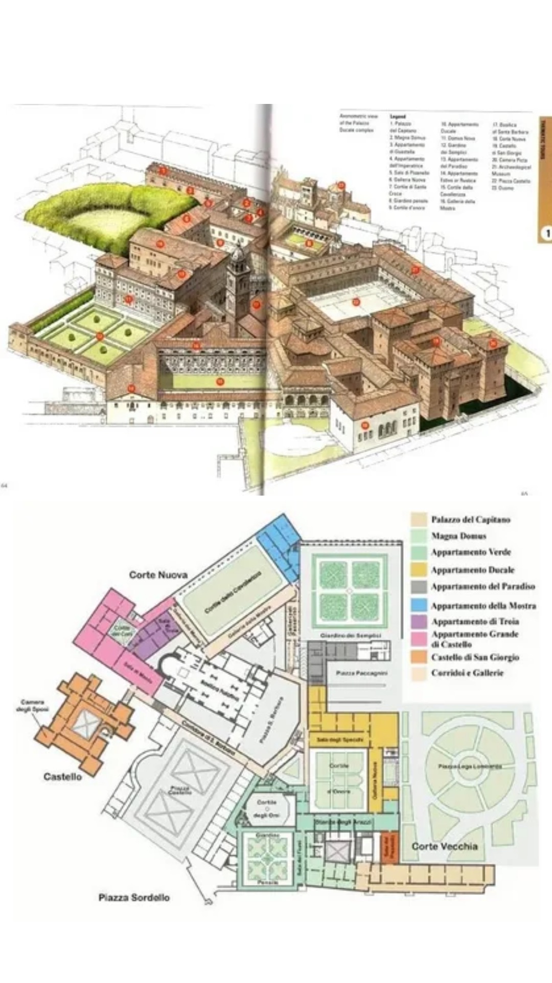 term image