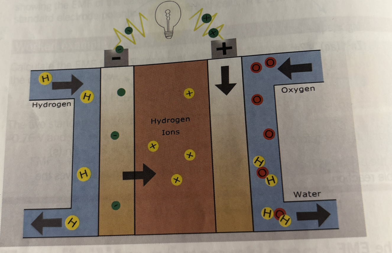 <p>Anode (hydrogen electrode)</p><p>Cathode (oxygen electrode)</p><p>Electrolyte membrane</p><p>Catalyst Platinum</p><p><strong>Functions </strong></p><ul><li><p><strong>Electrodes</strong> allow electron transfer</p></li><li><p>Electrolyte allow ion movement</p></li><li><p>External circuit </p></li></ul><p></p>