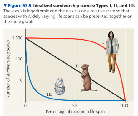 <ul><li><p><span style="background-color: transparent;">Survivorship curve: A plot of the proportion or numbers in a cohort are still alive at each age.&nbsp;</span></p><ul><li><p><span style="background-color: transparent;">Type 1 curve is flat at the start, reflecting low death rates during early and middle life, and then drops steeply as death rates increase among older age-groups.</span></p><ul><li><p><span style="background-color: transparent;">Common in large mammals that produce few offspring but provide them with good care.&nbsp;</span></p></li></ul></li><li><p><span style="background-color: transparent;">Type II curves are intermediate, with a constant death rate over the organism’s life span.</span></p><ul><li><p><span style="background-color: transparent;">Common in some rodents, many invertebrates, lizards, and annual plants.&nbsp;</span></p></li></ul></li><li><p><span style="background-color: transparent;">Type 3 curve drops sharply at the start, reflecting very high death rates for the young, but flatten out as death rates decline for those few individuals that survive the early period of die-off.</span></p><ul><li><p><span style="background-color: transparent;">Common in organisms that provide very large numbers of offspring but provide little or no care (fishes, plants, and marine invertebrates).</span></p></li></ul></li><li><p><span style="background-color: transparent;"><em>Not limited to these curves can show a mix or more complex patterns. Different species and different populations may have different curves.</em></span></p></li></ul></li></ul><p></p>