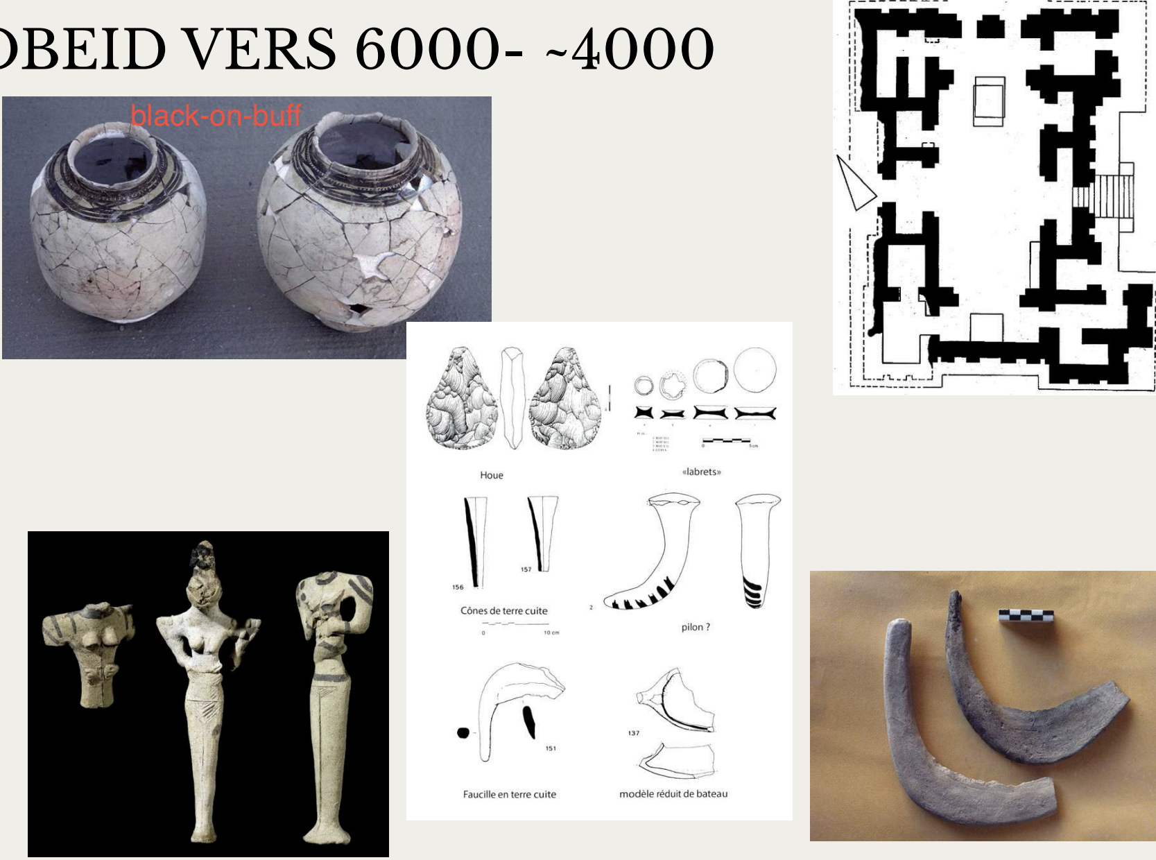 <p>(6000 – 4000 av. J.-C.)</p><p>derniere phase axclusivement villageoise </p><p>Il désigne à la fois :</p><ul><li><p>un site archéologique (Tell al-‘Ubaid, en Irak),</p></li><li><p>un style de céramique</p></li><li><p>et plus largement un<u> horizon culturel couvrant près de 2000 ans d’histoire.</u></p></li></ul><p>Basse-Mésopotamie + expansion géographique importante, jusqu’en Haute-Mésopotamie et même en Anatolie.</p><p>Elle entre en contact (et parfois en concurrence) avec la culture de Halaf.</p><p><strong>a) Organisation sociale et politique</strong></p><p>L’Obeïd est marquée par l’apparition des <u>premières chefferies,</u> avec une hiérarchie croissante au sein de la société. <u>préfigurent la naissance des premiers États et des grands rois mésopotamiens. </u>L’autorité semble déjà se concentrer autour de certains lieux et bâtiments collectifs (temples primitifs).</p><p><strong>b) Habitat et architecture</strong></p><ul><li><p>Utilisation généralisée de la brique crue rectangulaire moulée → architecture plus <u>régulière et standardisée.</u></p></li><li><p>Bâtiments de plan rectangulaire, parfois à plusieurs pièces, avec une <u>organisation plus élaborée</u> que dans les cultures précédentes.</p></li></ul><p>plan tripartie - grand espace central (collective, rassemblements) et deux espaces lateraux (fonctions domestiques, specialises)</p><p>difference entre les habitations modestes et plus elevesm triparties - apparition d’elite/ou les fonctions communautaires</p><ul><li><p>Décor architectural caractéristique :<u> niches et redans</u> (murs en relief, futur style des temples mésopotamiens).</p></li></ul><p>Présence de cimetières communautaires → pratique funéraire partagée, signe <u>d’identité collective.</u></p><p><strong>c) Céramique et culture matérielle</strong></p><ul><li><p>Céramique emblématique : style <strong>“black on buff” </strong>→ motifs noirs peints sur un fond clair jaunâtre.</p></li><li><p>Formes variées (jarres, bols, plats), souvent décorées de motifs géométriques ou abstraits.</p></li></ul><p><u>objets et d’ornements caractéristiques, figurines symboliques :</u></p><ul><li><p>disques labrets (ornements insérés dans les lèvres ou oreilles),</p></li><li><p>clous et pilons penchés</p></li></ul><ul><li><p>Figurines ophidiennes : corps allongés, têtes triangulaires, yeux en amande → parfois interprétées comme des représentations serpentiformes.</p></li></ul><p><u>pratiques symboliques notables :</u></p><ul><li><p>déformation crânienne → marqueur social ou religieux,</p></li><li><p>figurines féminines, peut-être liées à la fécondité,</p></li><li><p>association possible à des cultes communautaires.</p></li></ul><p><strong>e) Un horizon culturel à large extension</strong></p><p>Tous les éléments caractéristiques de l’Obeïd (céramique, figurines, architecture, objets) il s’agit d’un processus évolutif sur 2000 ans.</p><p>Ce qui distingue l’Obeïd, c’est sa <u>diffusion très large</u> et son rôle de socle commun qui précède l’urbanisation de l’époque d’Uruk.</p><ul><li><p>hiérarchisation sociale,</p></li><li><p>innovations architecturales,</p></li><li><p>diffusion culturelle massive,</p></li><li><p>prémices d’une centralisation du pouvoir.</p></li></ul><p>o artisanat plus diversifié,</p><p>o apparition de marqueurs sociaux,</p><p>o différenciation entre espaces domestiques et collectifs.</p><p></p><p><strong>L’évolution d’Obeïd 0 à 5 illustre une transition lente mais décisive :</strong></p><ul><li><p>d’une gestion collective et communautaire,</p></li><li><p>à une organisation plus domestique et différenciée.</p></li></ul><p>Ce basculement prépare la mise en place d’une hiérarchie sociale :</p><ul><li><p>certains groupes ou familles accumulent plus de surplus que d’autres,</p></li><li><p>ce qui crée les premières différences de statut au sein des communautés.</p></li></ul><p></p>