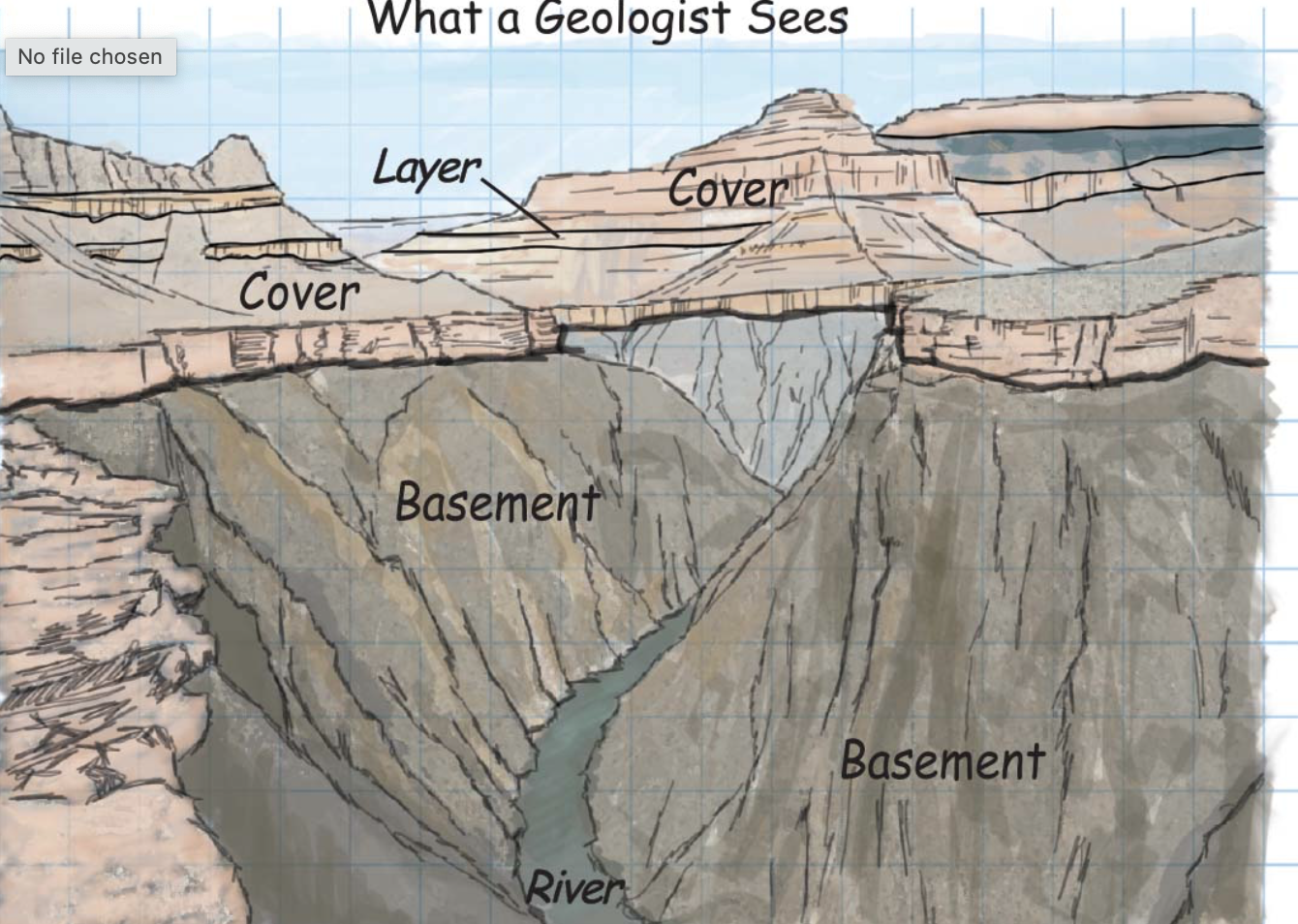 <p>occur only in the upper part of the crust, and form a cover that buries the underlying basement of igneous and/or metamorphic rock</p>