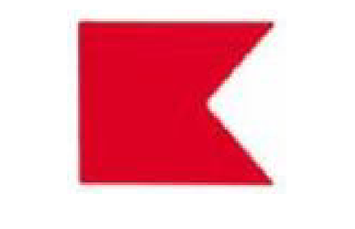 <p>What is this flag?</p>