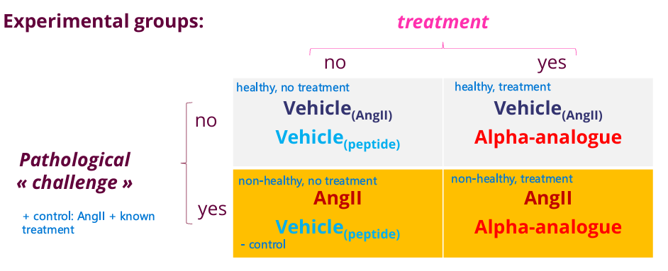 <ul><li><p>5 experimental groups</p></li><li><p>Treatment parameters: dose, route, frequency, vehicle, timing</p></li></ul><p></p>