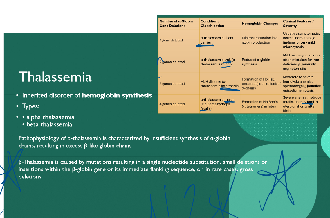 <p>Hemoglobin synthesis </p>