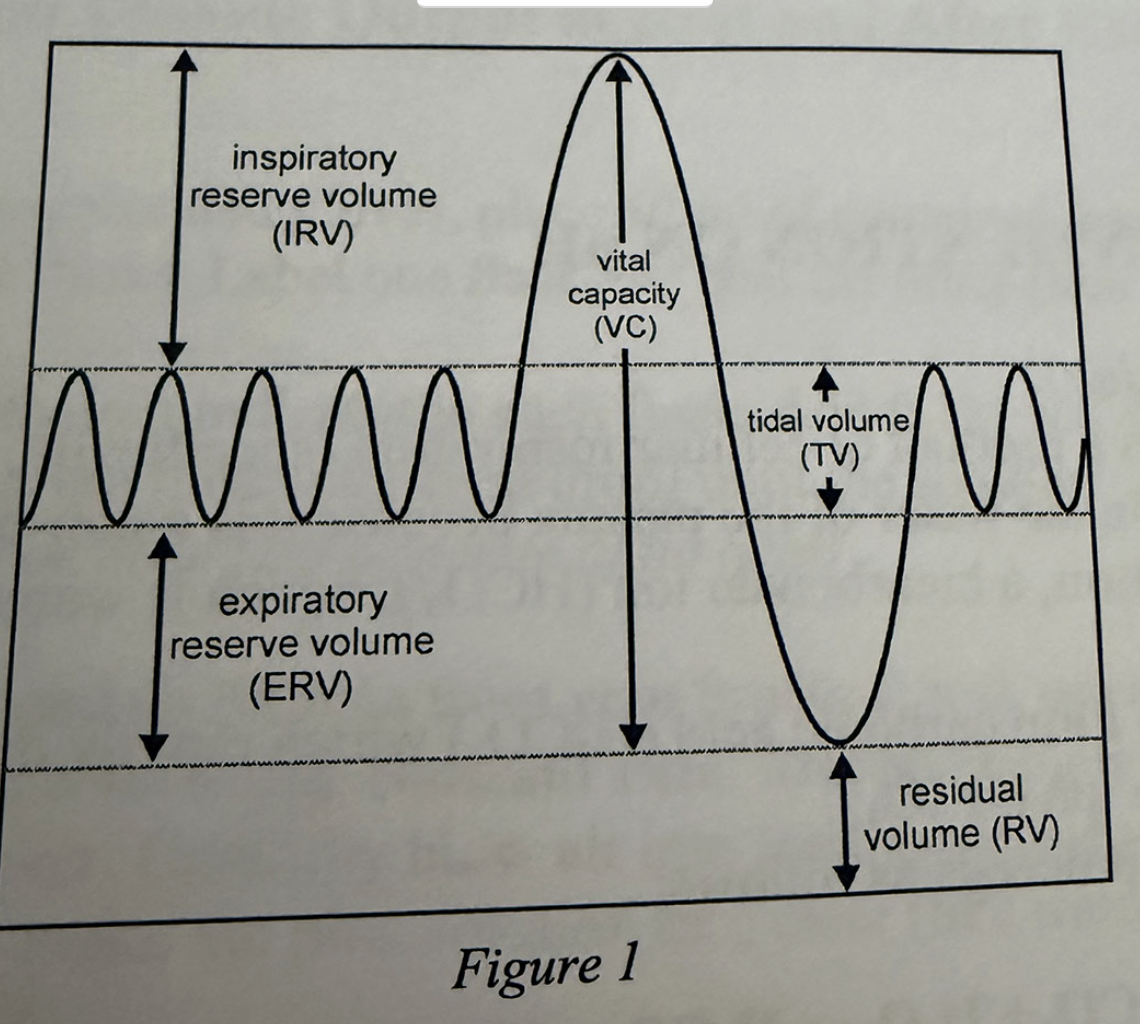 <p>Identify each related volume </p>