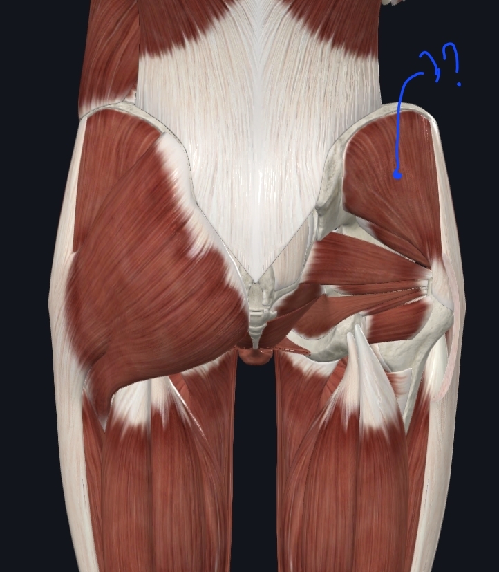 term image
