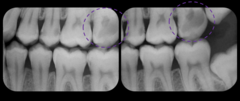 <p>What is this an example of?</p>