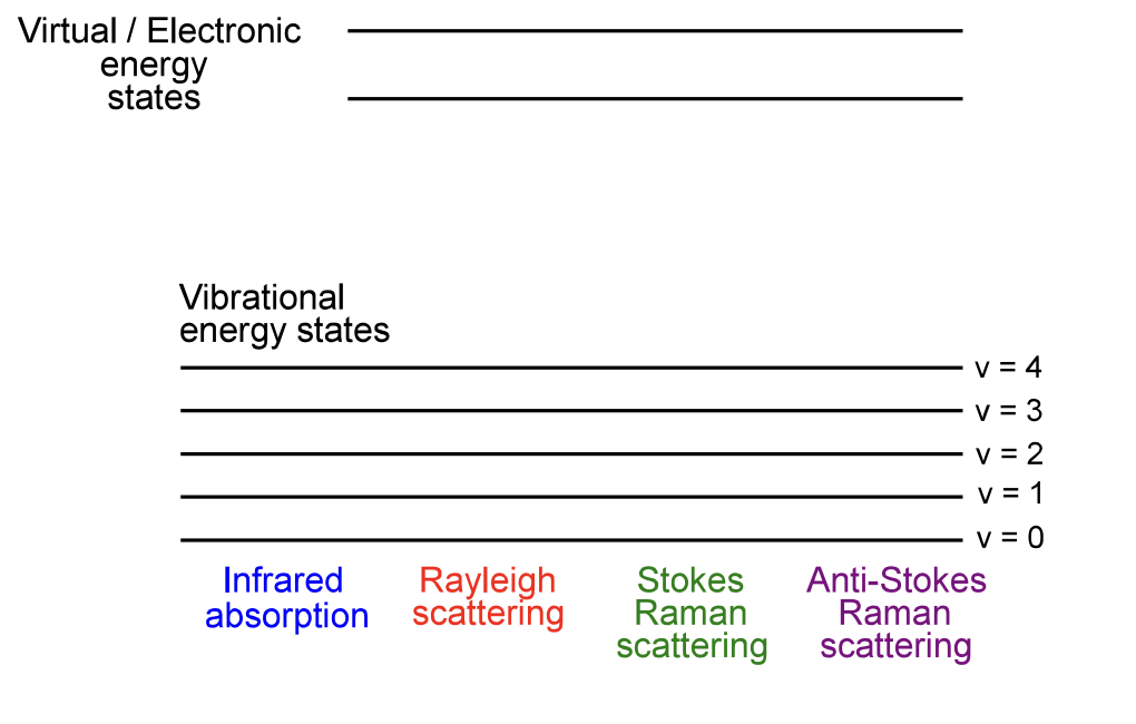 <p>show these different transitions </p>