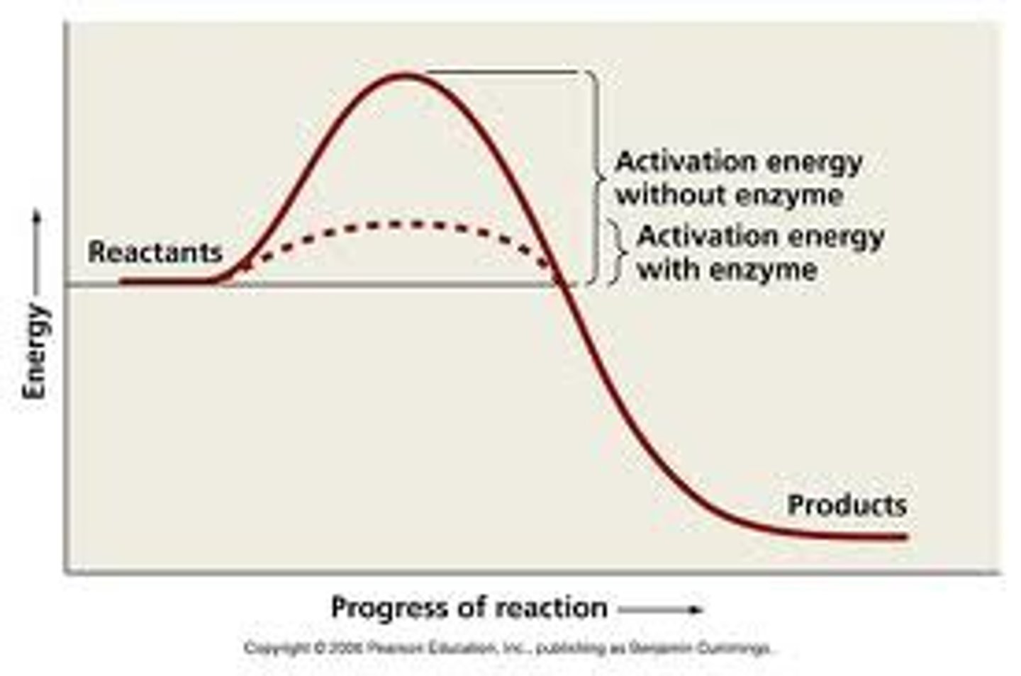 <p>Energy needed to get a reaction started</p>