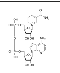 <p>what is the name of this structure?</p>