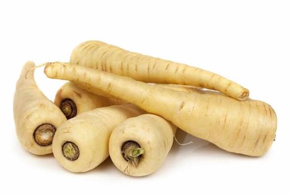 <ol><li><p>Common Name?</p></li><li><p>Family?</p></li><li><p>Genus species?</p></li><li><p>Origin?</p></li><li><p>Organ?</p></li><li><p>Modified Part of Plant?</p></li></ol><p></p>