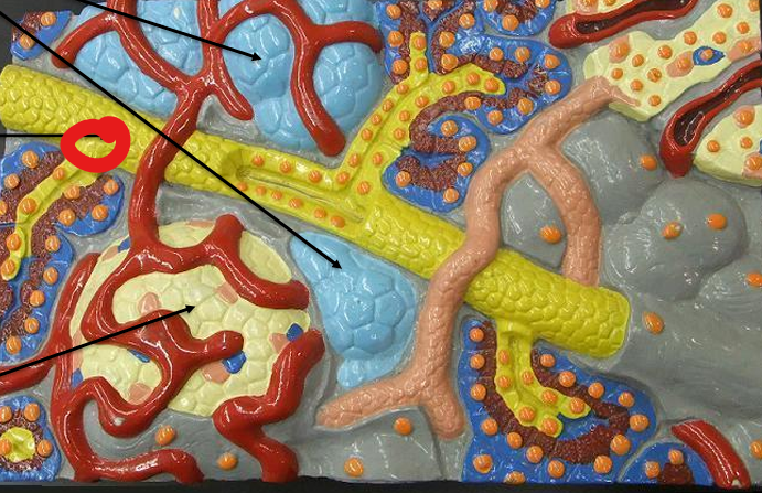 <p>What is this structure </p>