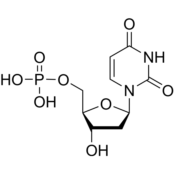 <p>deoxynucleotide polymer</p>