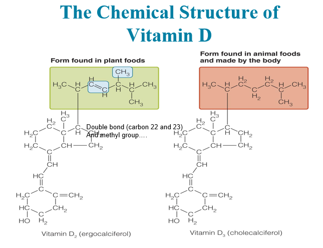 <p>What is Vitamin D</p>