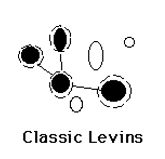 <p><span>patches are either occupied or unoccupied; otherwise equal quality of patches to support population growth</span></p>