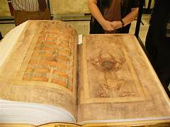<p>Bound Books/Codex</p>