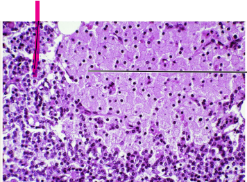 <p>what is this?</p>