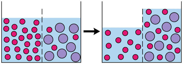 <p>movement of water across a semipermeable membrane to balance a concentration gradient </p>