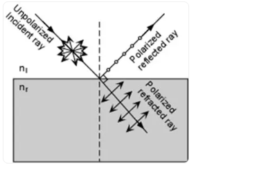 <p>Plane-polarized light vibrates in one direction perpendicular to its path. There are 2 common ways light becomes polaraized.</p>