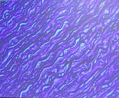 <p>What is the name, location and function of this</p>