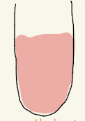 <p>Methyl Red</p>