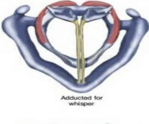 <p>smaller (closed)</p>