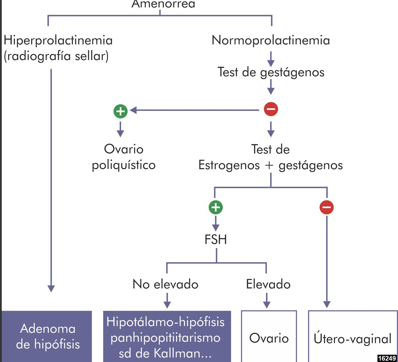<p>Lo primero—> DESCARTAR EMBARAZO </p>