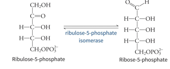 <p>the first reaction, catalyzed by Glucose-6-phosphate dehydrogenase (G6PD) - Glucose-6-phosphate dehydrogenase (G6PD). This step converts glucose-6-phosphate (G6P) into 6-phosphogluconolactone, generating NADPH, and is regulated primarily by the concentration of its substrate, NADP<sup>+</sup>, and the feedback inhibition of its product, NADPH</p>