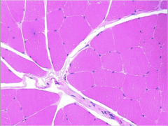 <p>What does this image show?</p>