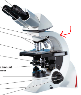 <p>What [part of the microscope is this</p>