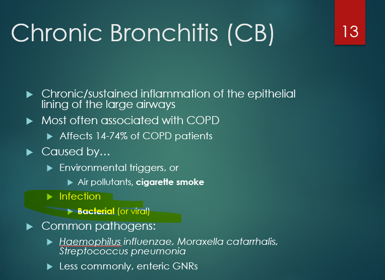 <ol><li><p>h. influenzae</p></li><li><p>moraxella catarrhalis</p></li><li><p>strep pneumo</p></li></ol><p></p>