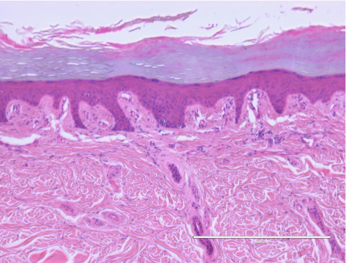 <p>What is this a picture of?</p>